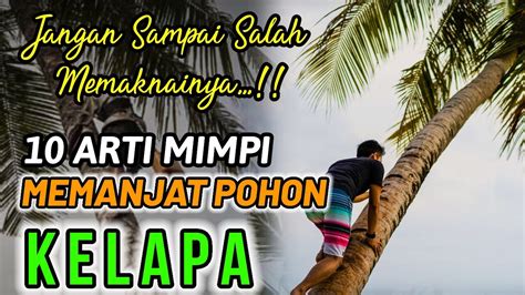 Ada pulsa xl 20 ribu. Angka mimpi memanjat pohon kelapa.