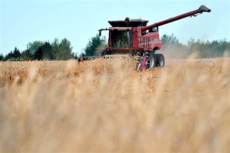 Adam Minter: America First is making U.S. farmers fall behind