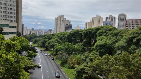 Adams Green  Sao Paulo