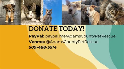 Adams county pet rescue. Things To Know About Adams county pet rescue. 