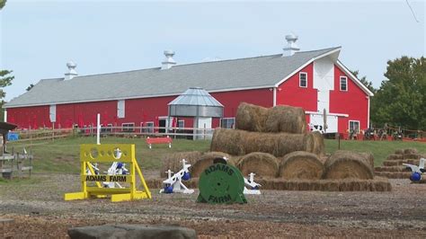 Adams farm facebook. .  ...