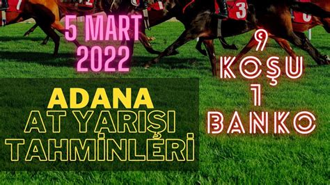 Adana at yarışı izle