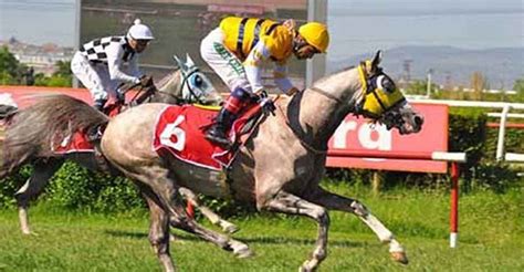 Adana at yarışları sonuçları