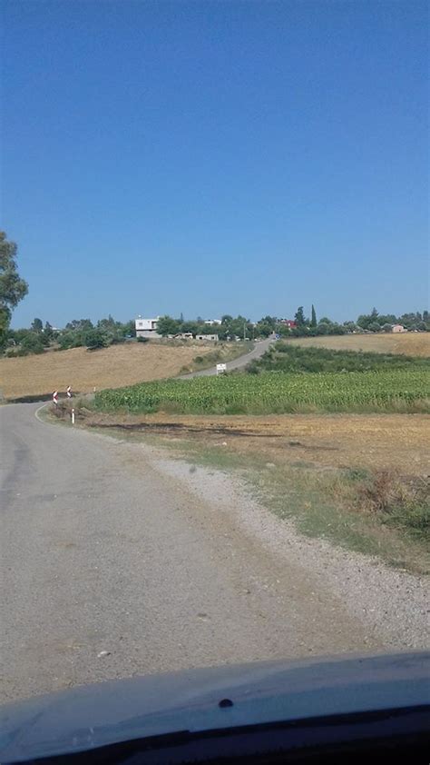 Adana camili köyü