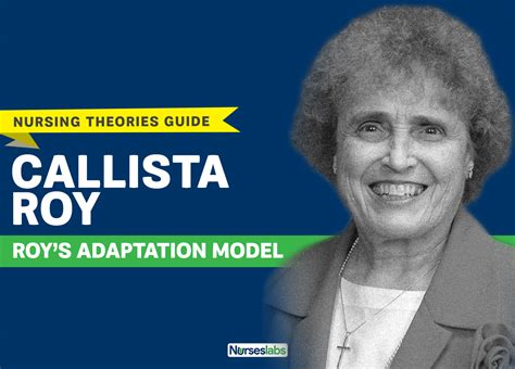 sister callista roy adaptation theory