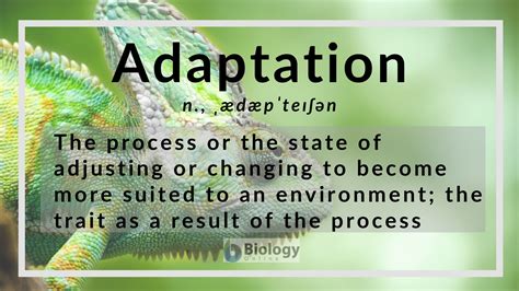 Adaptation by Expression