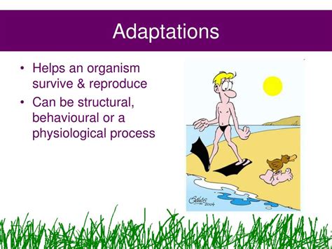 Adaptation of the body pptx