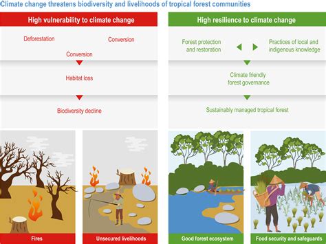 Adaptation to Global Warming in forest management
