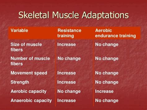 Adaptations in Skeletal Muscle Following Strength Training
