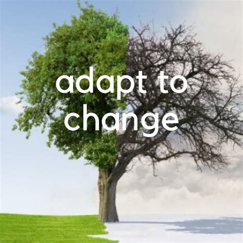 Adapting to a changing future environment