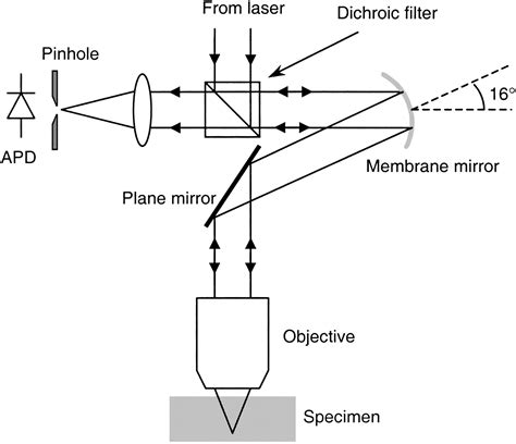 Adaptive Aberration Correction in a Confocal Microscope