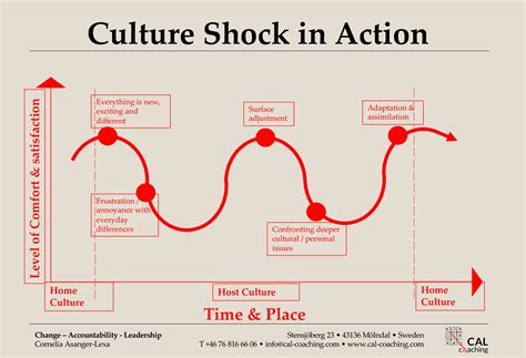 Adaptive Aspects of Culture Shock