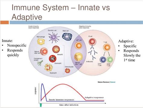 Adaptive Immunity carranza docx