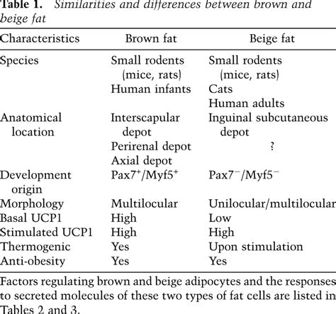 Adaptive thermogenesis in adipocytes: Is beige the new brown?