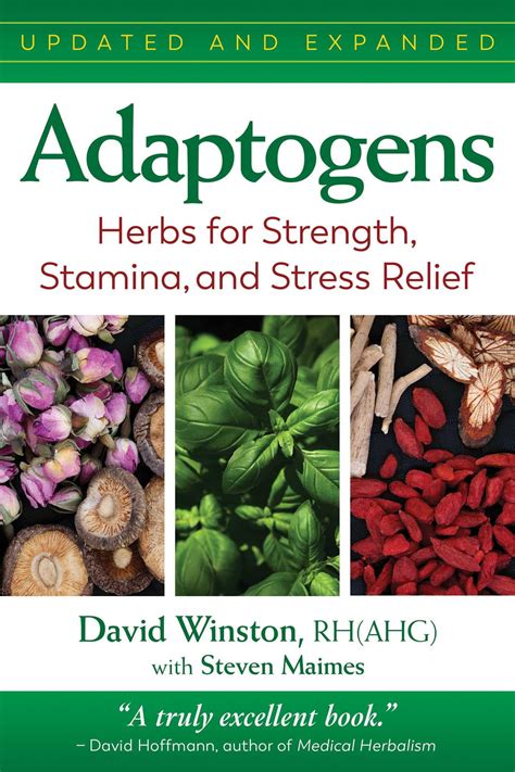 Adaptogens Herbs for Strength Stamina and Stress Relief