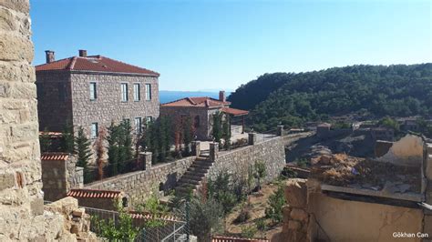 Adatepe Halı ve Koltuk Yıkama