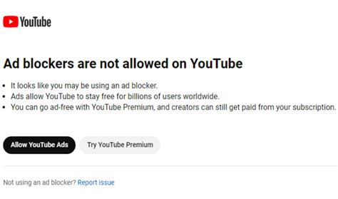 Adblockers youtube. Last November, the company announced that it surpassed 80 million combined subscribers across YouTube Premium and YouTube Music. So while protecting creators’ earnings is a charitable excuse to ... 
