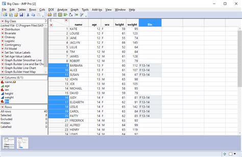 Add a Data Filter - JMP