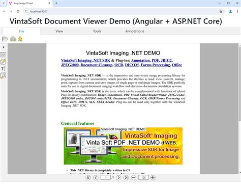 Add web document viewer to an Core application with Angular