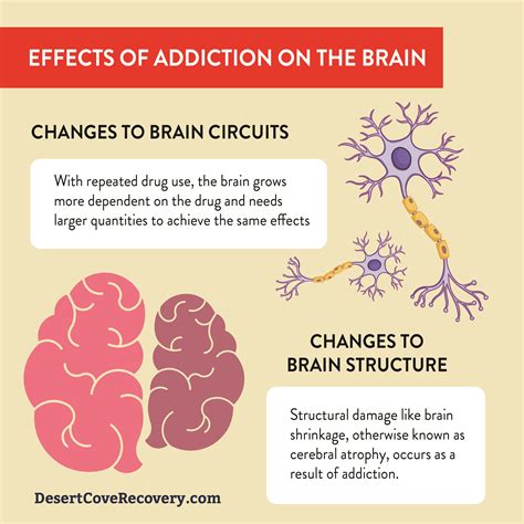 Addiction and the Brain - Springer