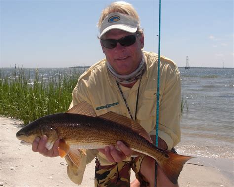 Addictive fishing. The Addictive Fishing L.L.C.video channel features video fishing reports, guided fishing trips, and Television media appearances from world renowned Capt. Ashley Bonser. Capt. Bonser is widely ... 