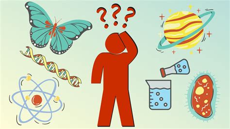 diagram for misconceptions
