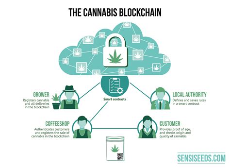 Addressing Common Questions about Cannabis Blockchain Tracking