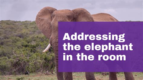 Addressing the Elephant in the Room: Crypto Volatility