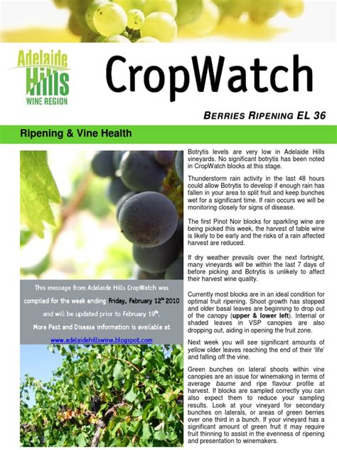 Adelaide Hills Crop Watch 220110