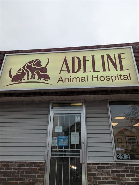 Adeline Animal Hospital - Pet Businesses Near Me