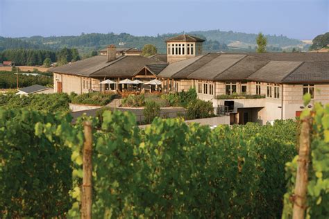 Adelsheim vineyard. ADELSHEIM VINEYARD. 16800 NE Calkins Lane, Newberg, OR 97132 Open daily, 11 am – 4:00 pm CONTACT US 503.538.3652 . ADELSHEIM IS A LIVE CERTIFIED SUSTAINABLE WINERY . get 10% off your next ONLINE order when you join our mailing list. Subscribe Newsletter Signup. Name 