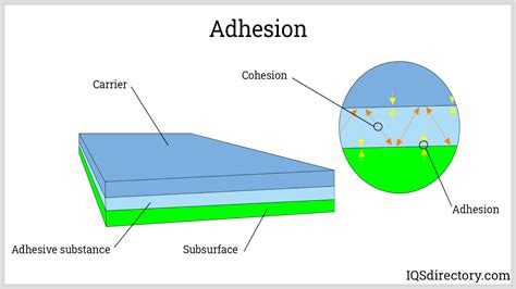 Adhesion Systems