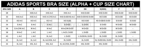Adidas Size Chart Sports Bra