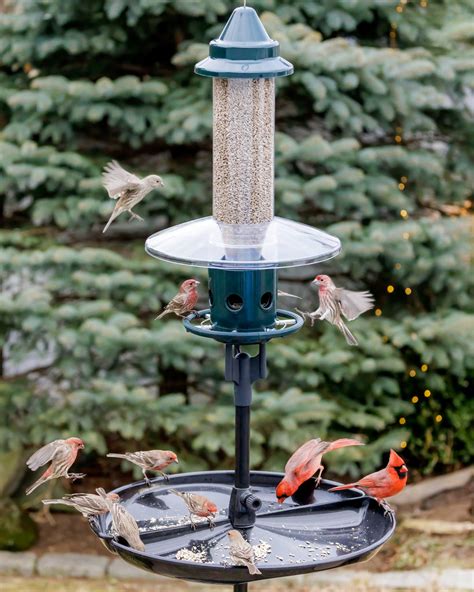 Adjust the Tension on the Plus (video) Brome® - Brome Bird Care