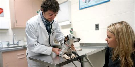 Admissions College of Veterinary Medicine at MSU