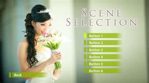 Adobe Encore Menu Design Template L A Color Pros Blog