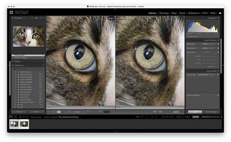 Adobe Lightroom Classic 2024 Free Download - ALL PC World