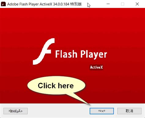 Adobe flash player 10 activex