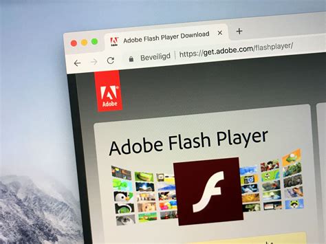 Adobe flash player chrome download