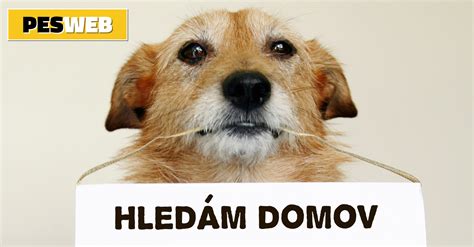 Adopci&oacute;n homoparental