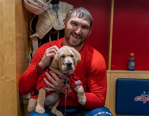 Adopt-A-Dog Minnesota Wild - NHL