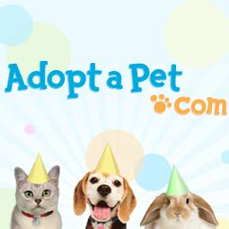 Adoptapet com. Adopt a dog in Spokane, Washington. These adorable dogs are available for adoption in Spokane, Washington. To learn more about each adoptable dog, click on the "i" icon for fast facts, or their photo or name for full details. Australian Cattle Dog. 