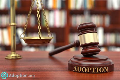 Adoption lawyers. The American Academy of Adoption Attorneys is a national association of approximately 460 attorneys who practice, or have otherwise distinguished themselves, in the field of adoption law. The Academy's work includes promoting the reform of adoption laws and disseminating information on ethical adoption practices. 