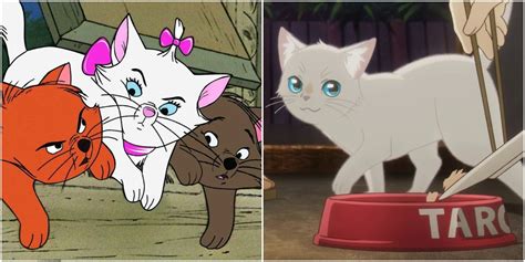 Adorable Cats From Movies