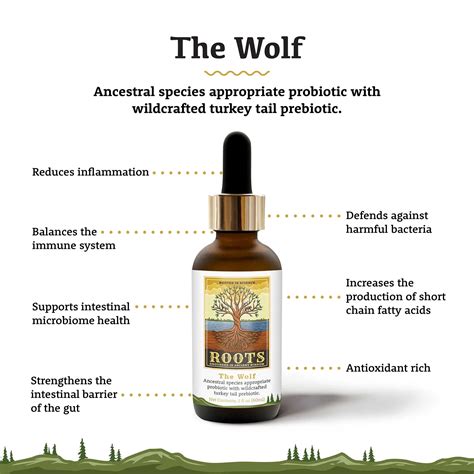 Adored beast apothecary. Roots | The Wolf - Species Appropriate Probiotic. $59.99 USD. Shipping calculated at checkout. Quantity. Add to cart. Share. From Roots - a new branch of Adored Beast Apothecary. “It’s genetically unique. The bacterial strain of this probiotic’s genetic fingerprint is derived from a wolf, which makes it uniquely different from anything … 