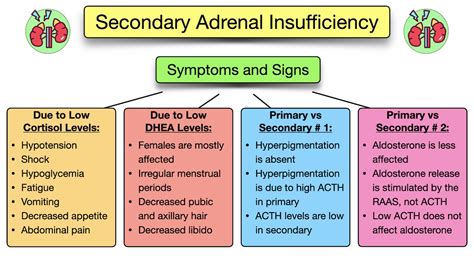 Adrenal Insufficiency: Primary, Secondary, Symptoms, …