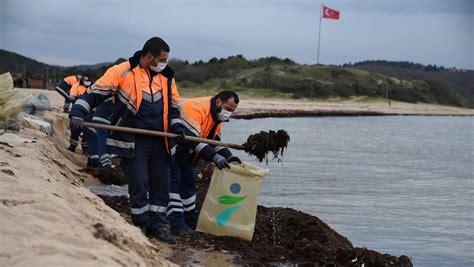 codini.rgarabwor.edu.pl. 