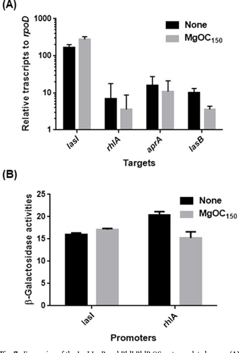 Adsorption of extracellular proteases and pyocyanin produced by