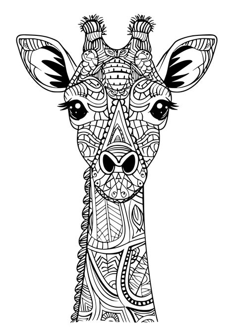 Coloring Sheet Frog