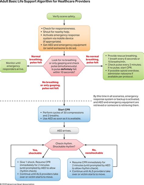 Adult Basic Life Support Algorithm for Healthcare Providers